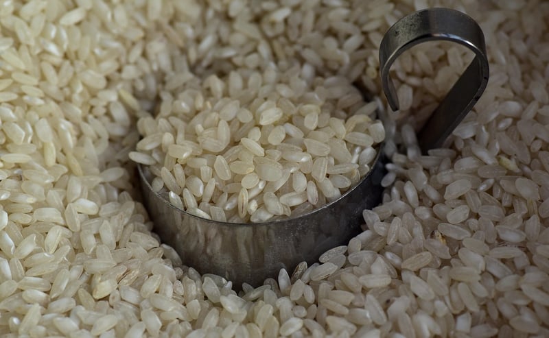 Grains and Legumes